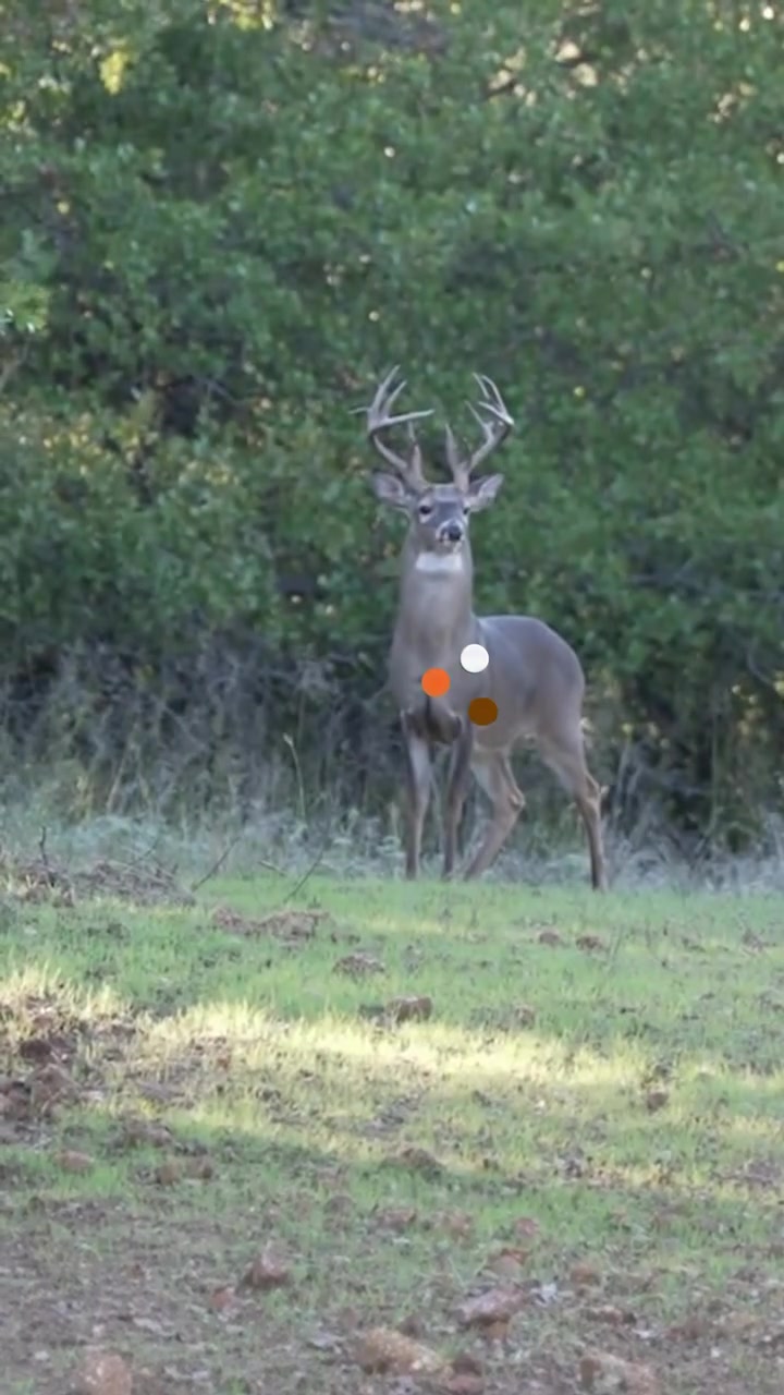 @Buckmasters Outdoors