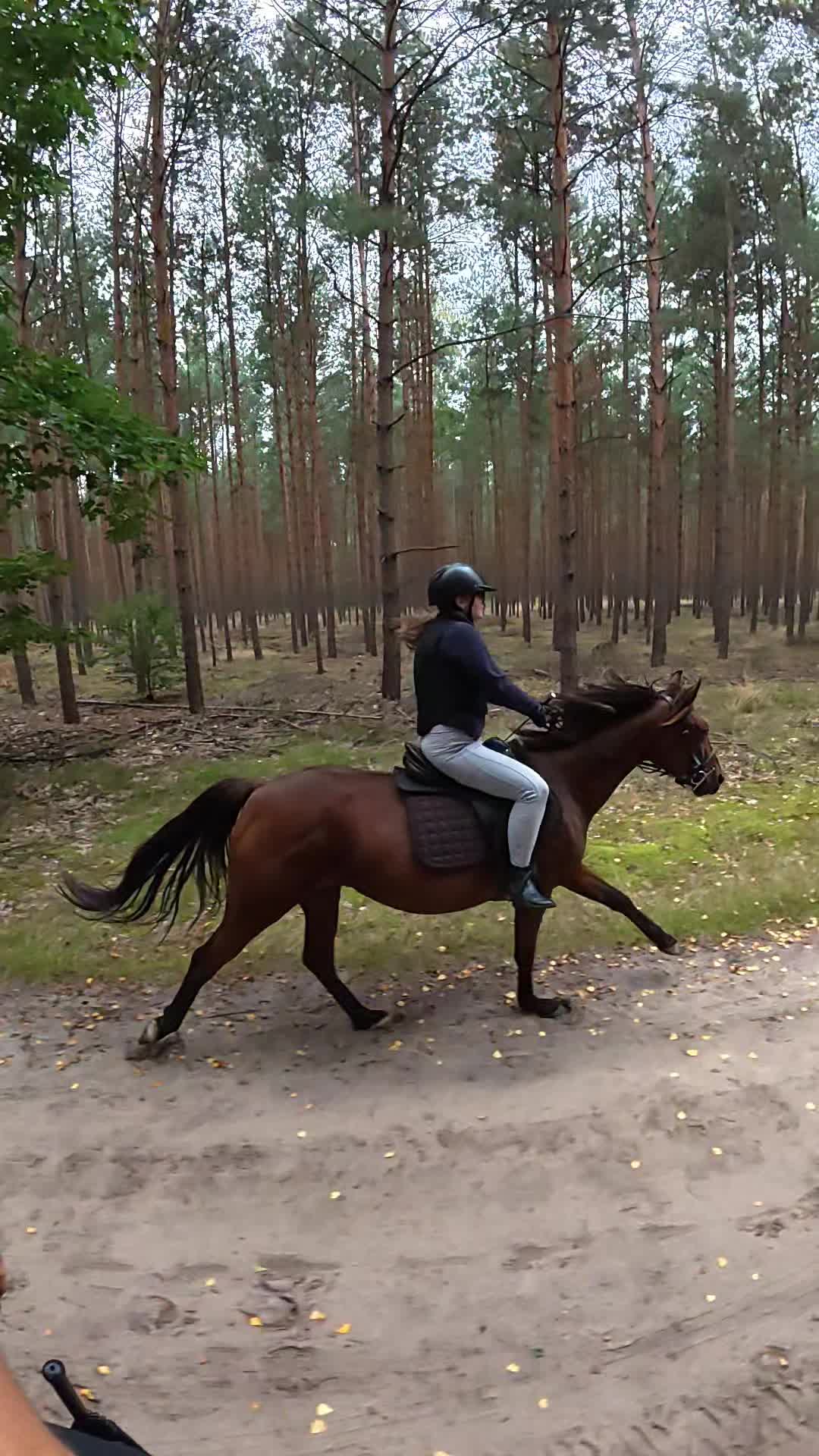 @Stajnia Pod Kasztanem 🇵🇱