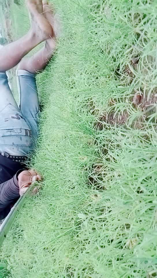 @💠💠Banjara Tigar💠?