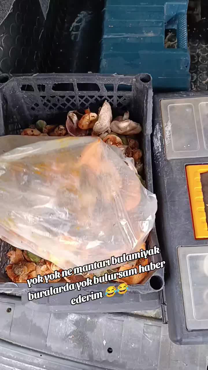 @DURSUN AKG&Uuml;L55