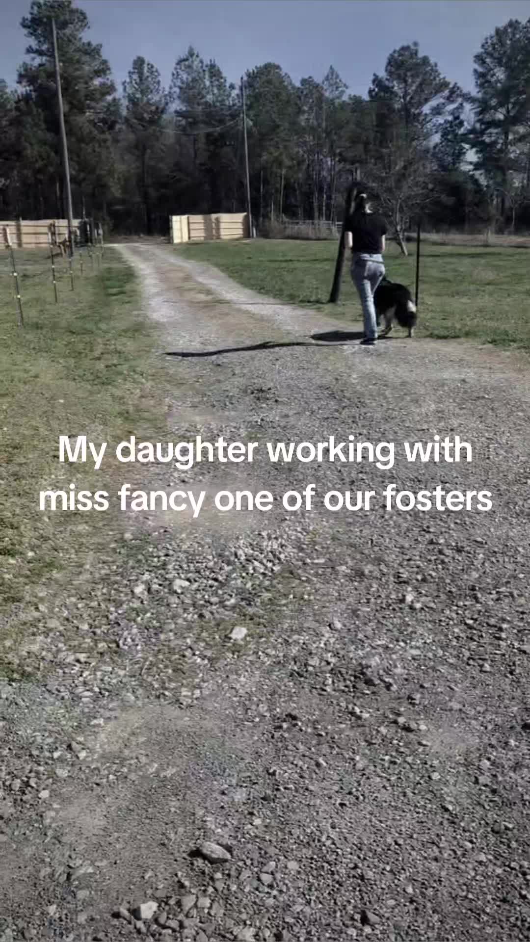 @dachshundclowning
