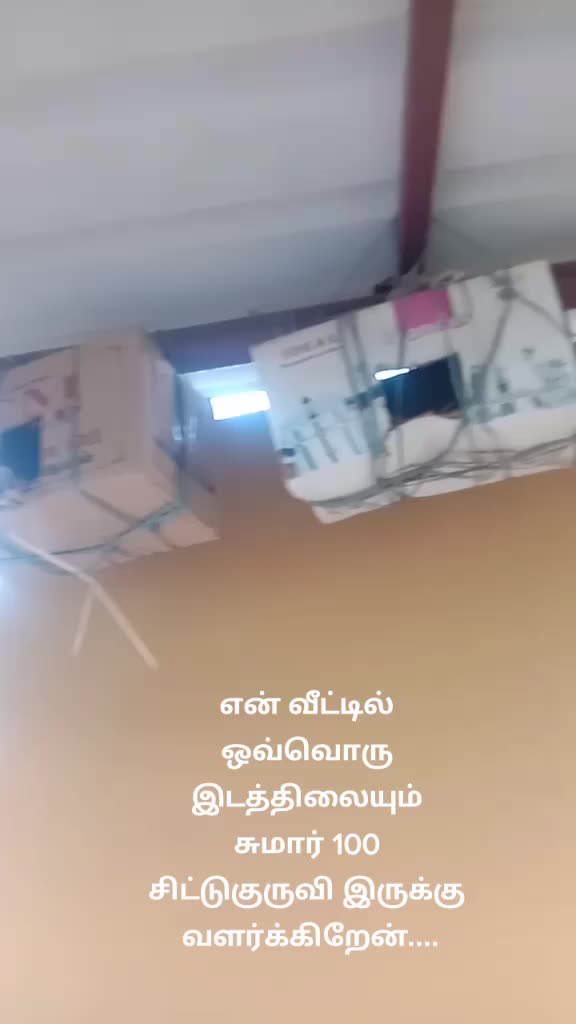 @Malarkumar