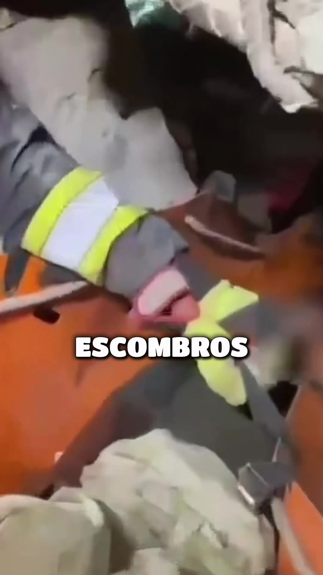 @El Tan Novio