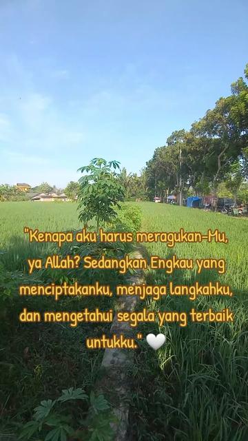 @ommamet1