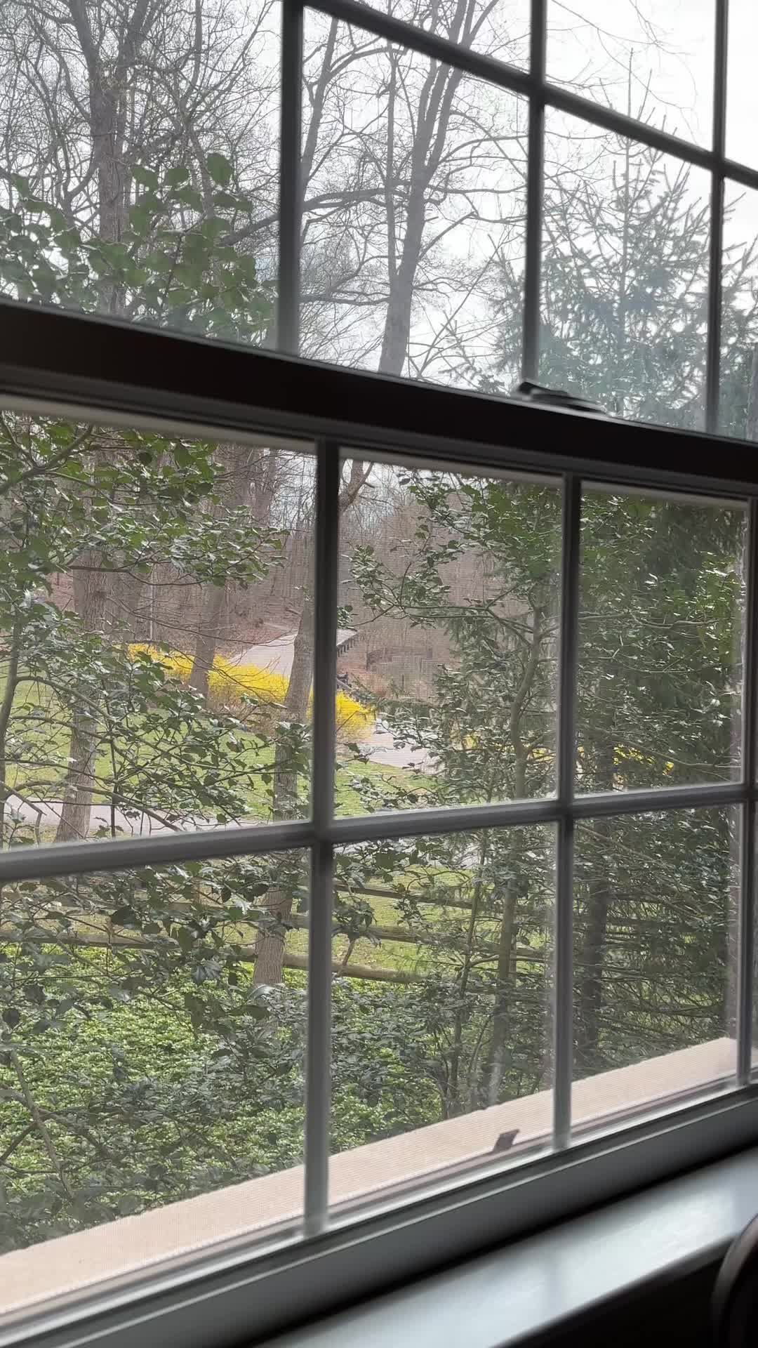 @Ellicott City Pix
