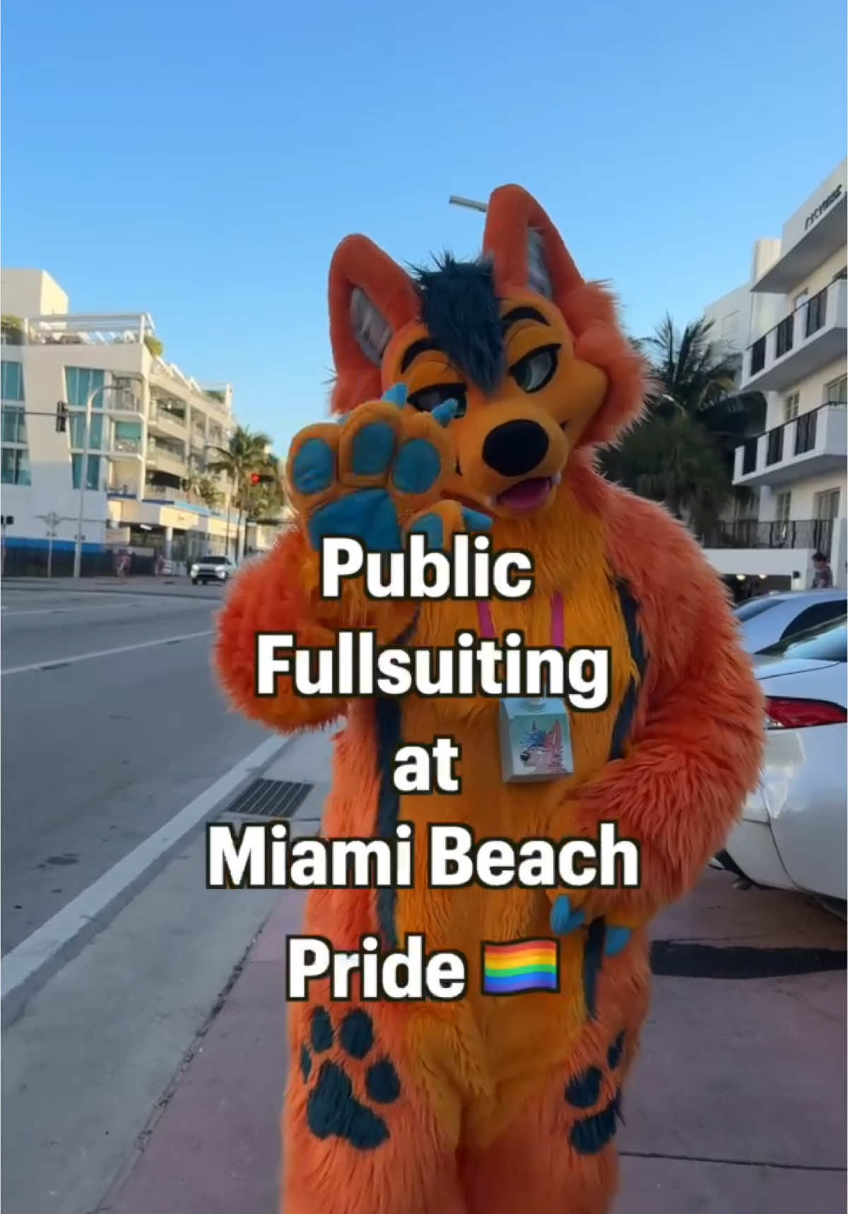 @SumDingoFL