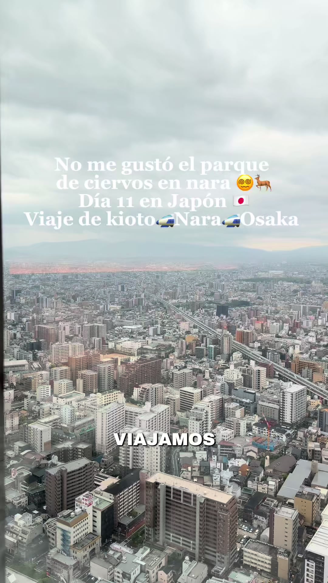 @Majo Mendez