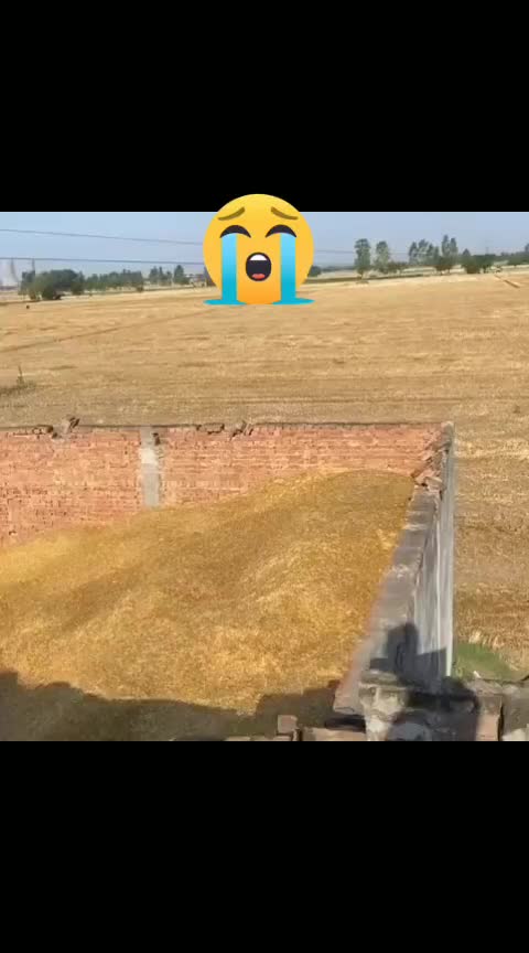 @Manav Sehrawat