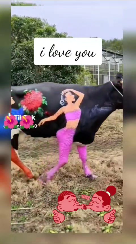 @🤣Mi Caramelo-🤣Humor😁