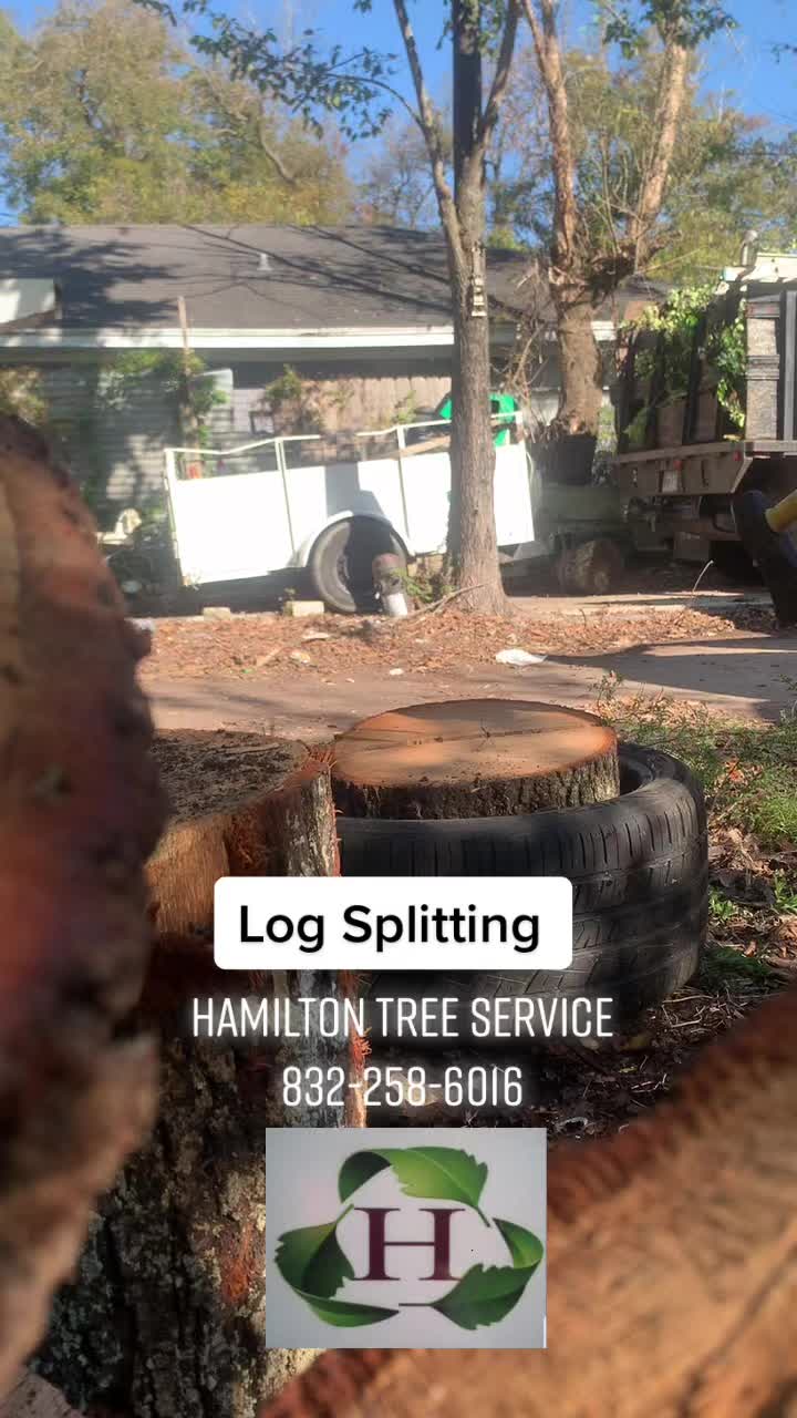 @Hamilton Tree Service