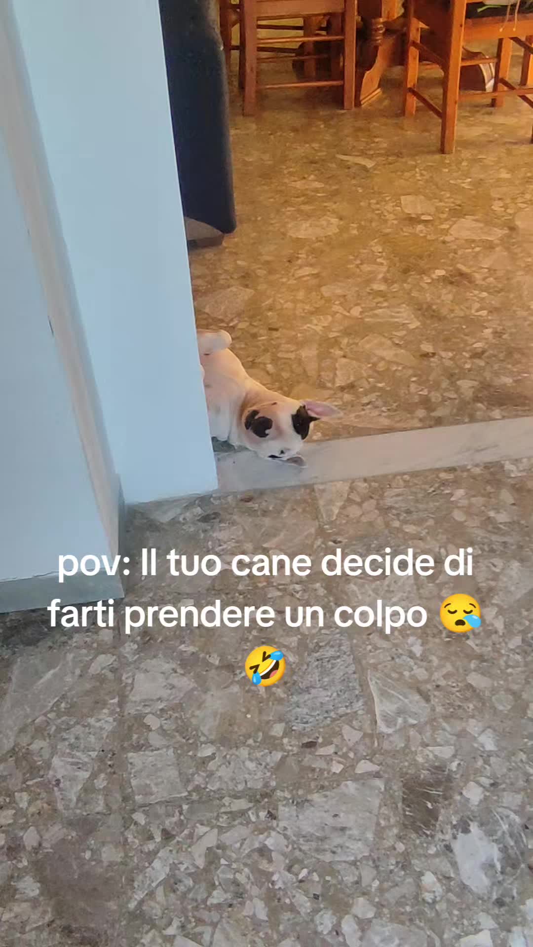 @Maria Celeste Torre