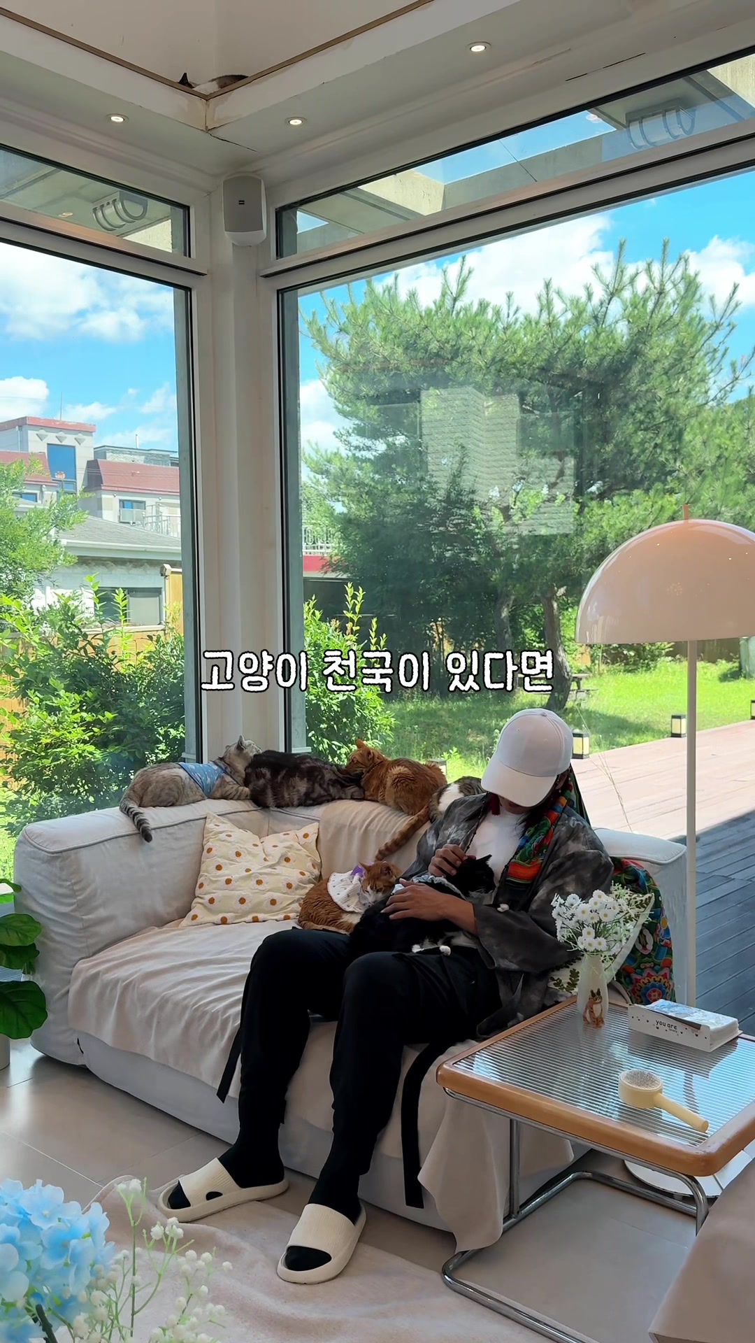 @traveler_jin