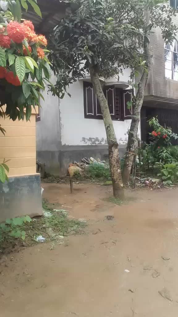 @Mintu Kar