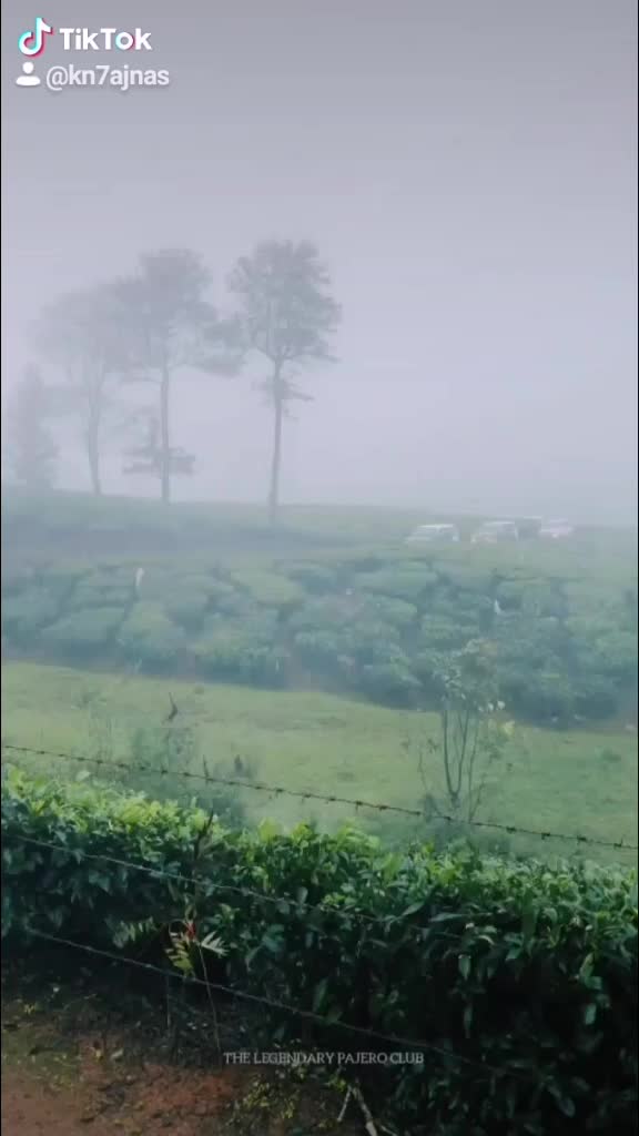 @Ameerkn7