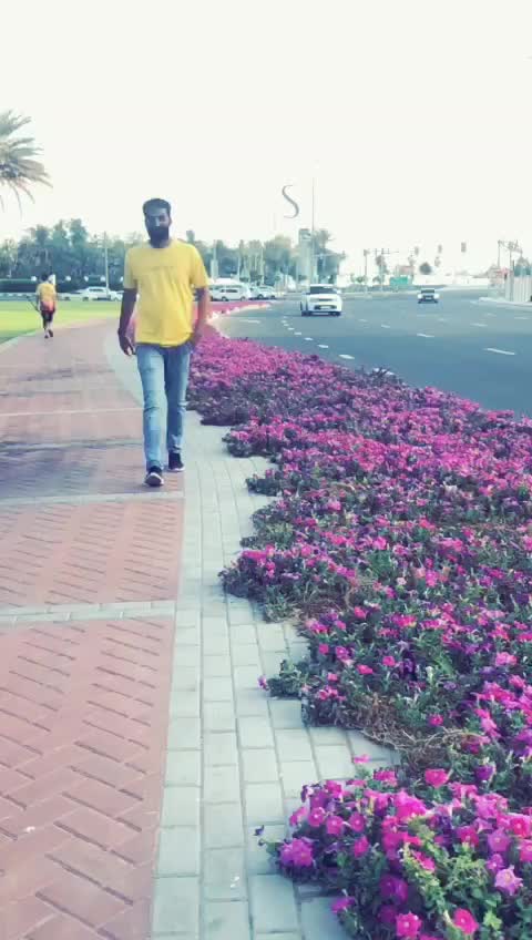 @uosᴉɐᗭ u&forall;