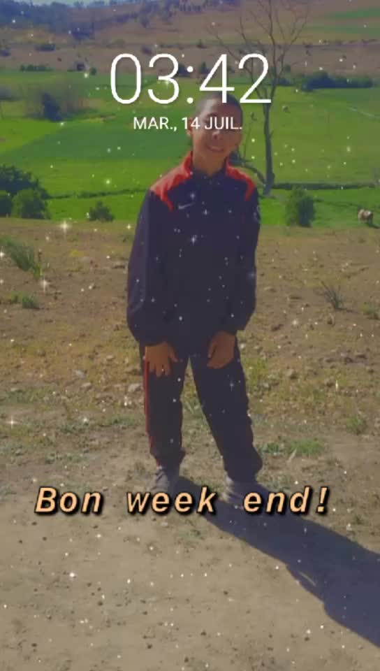 @👑🕊