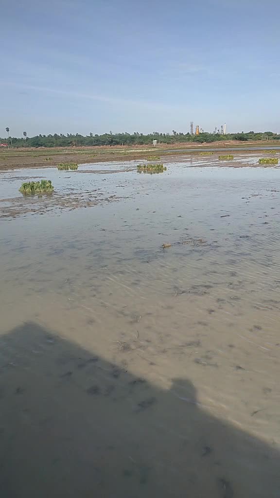 @Raja Akila
