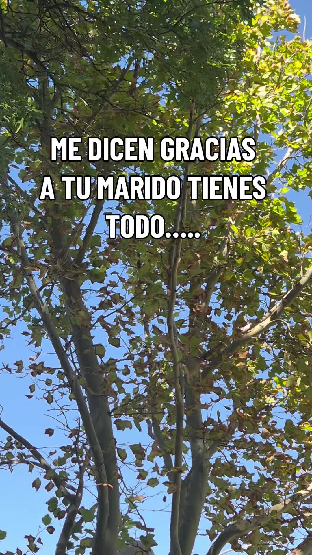 @Yaneli