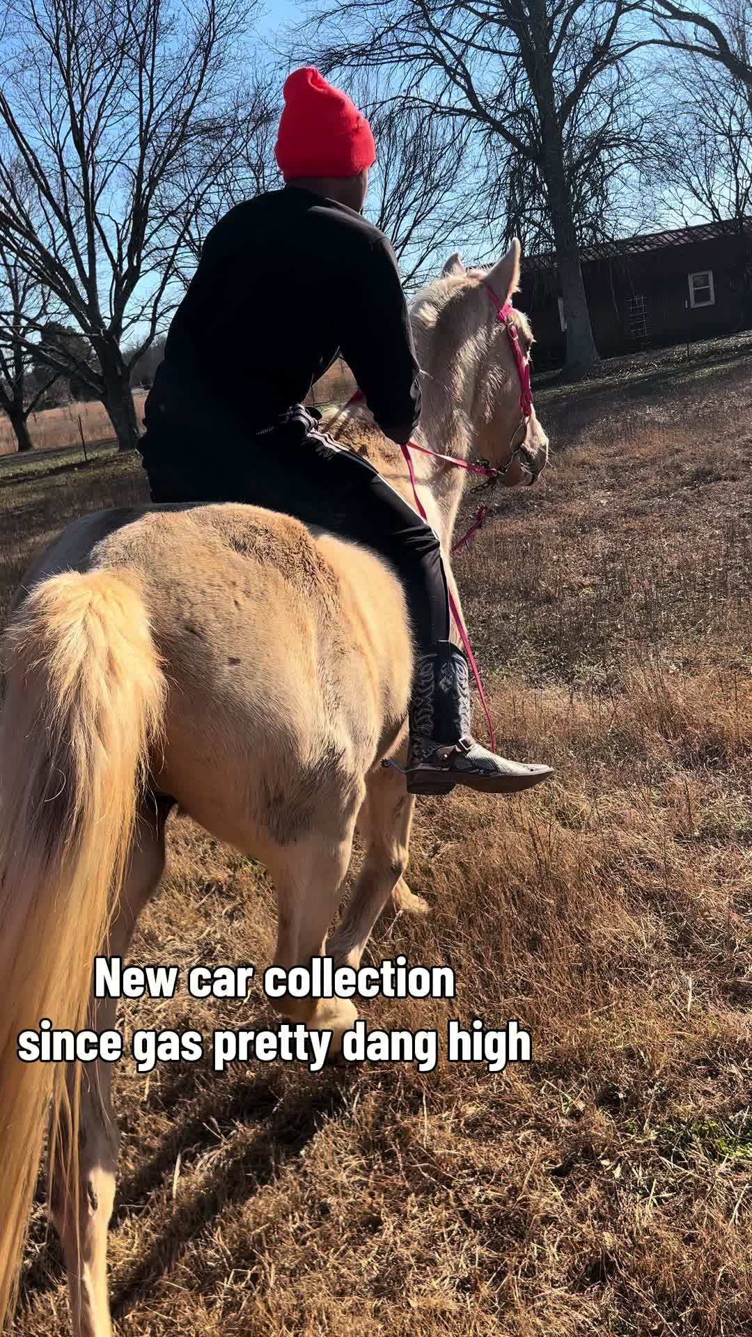 @CJ🧑🏽🌾