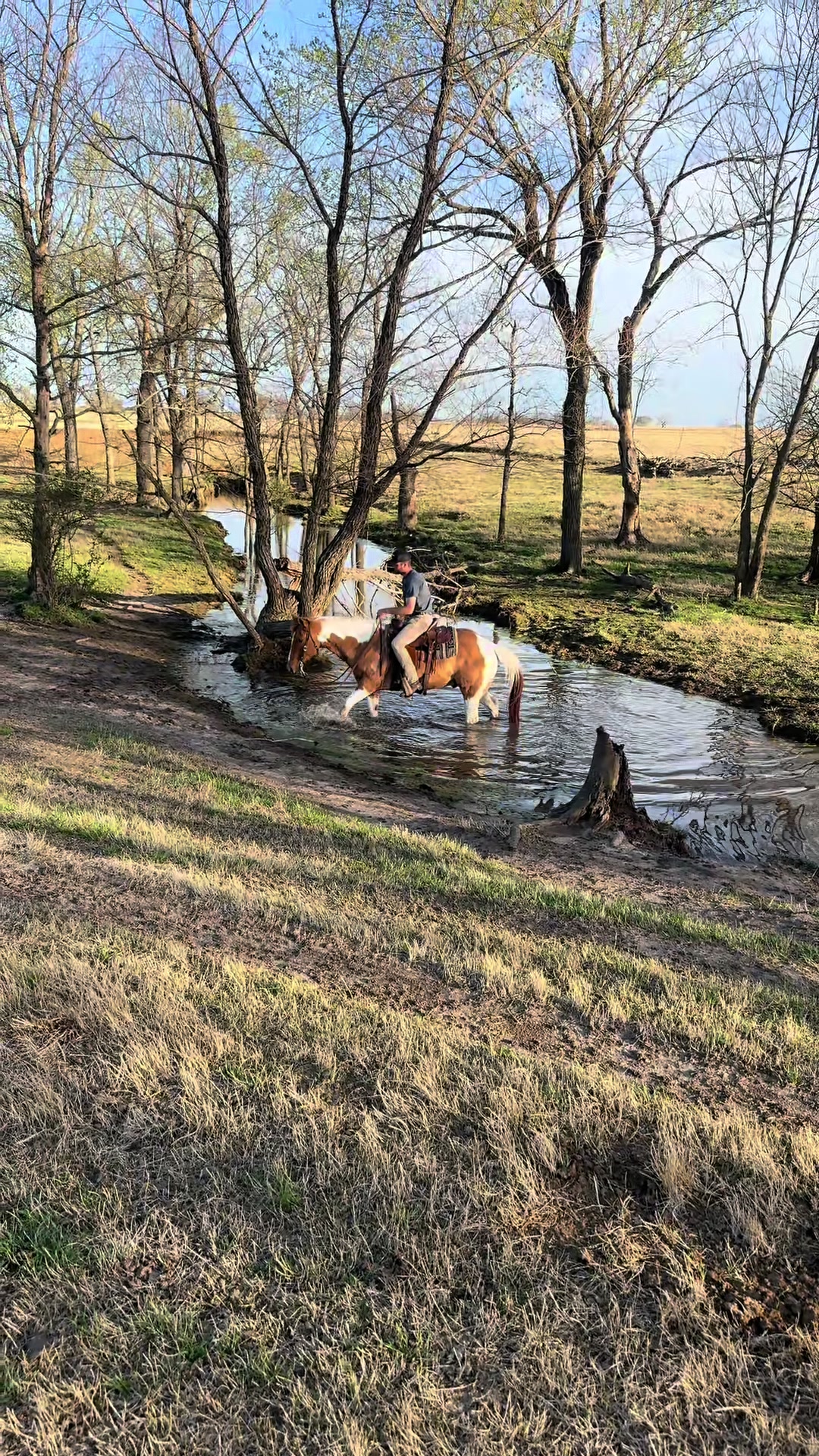 @masoncreekranch