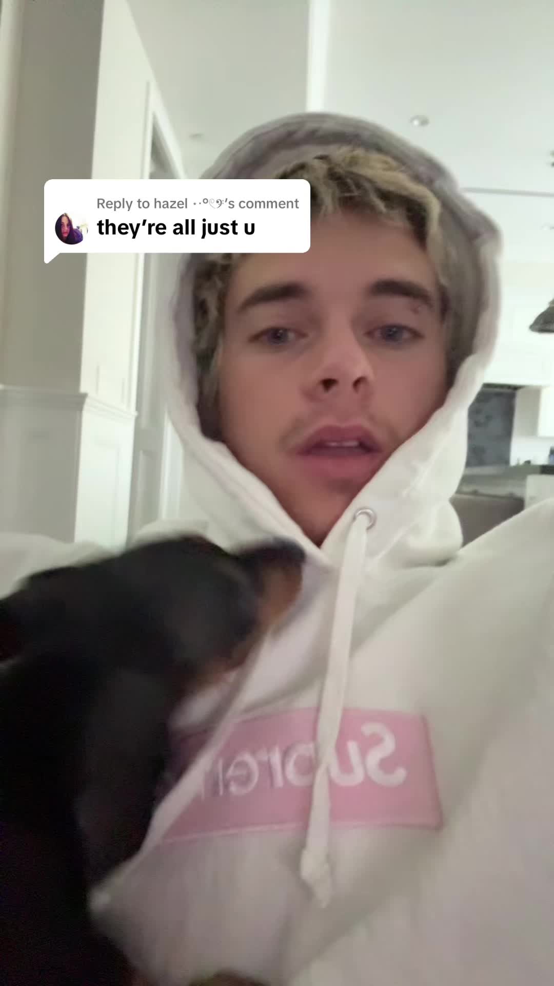 @notgavinmagnuslmao
