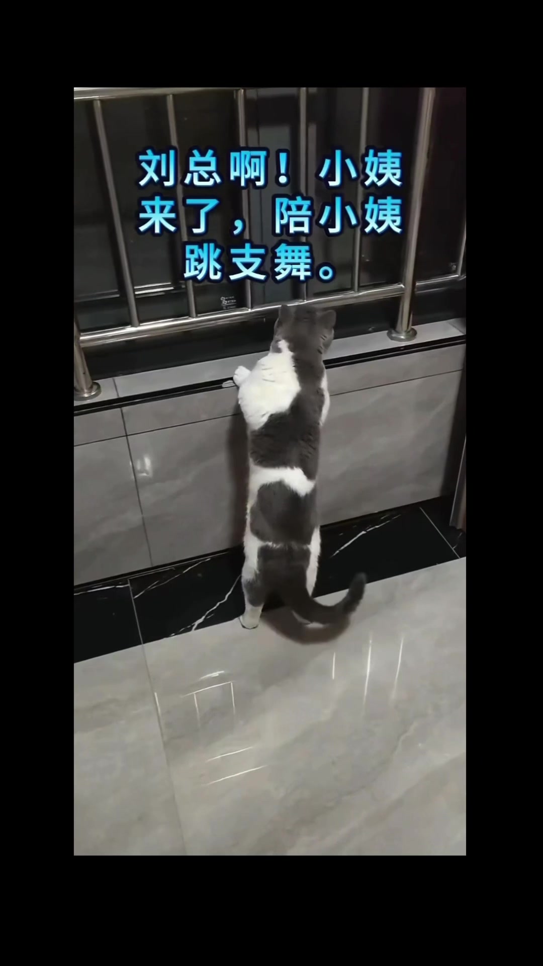 @沧海一粟3
