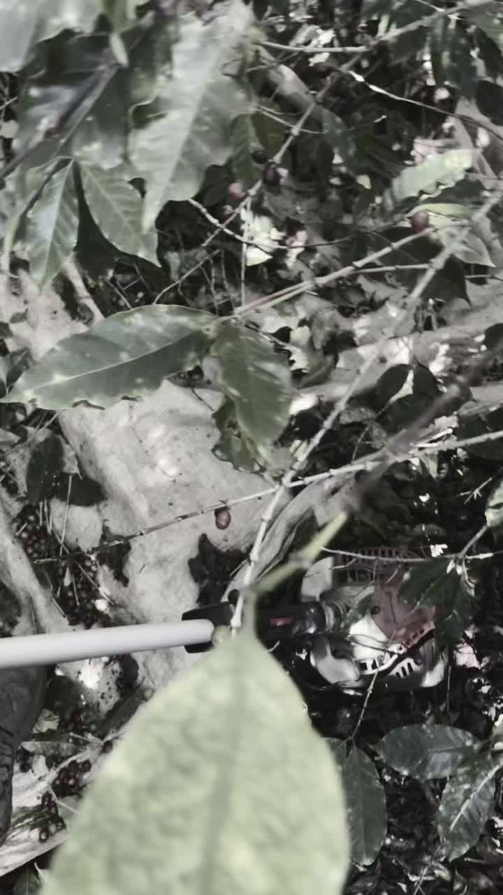 @๐๐จ๐ง๐ฒ ๐๐ข๐๐ซ๐ซ๐ โ๐ฝ๐ญ