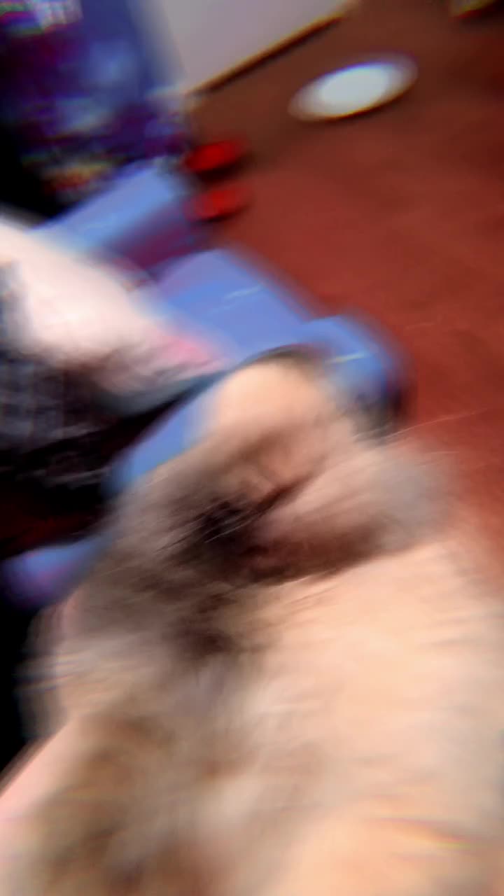 @dammastadon