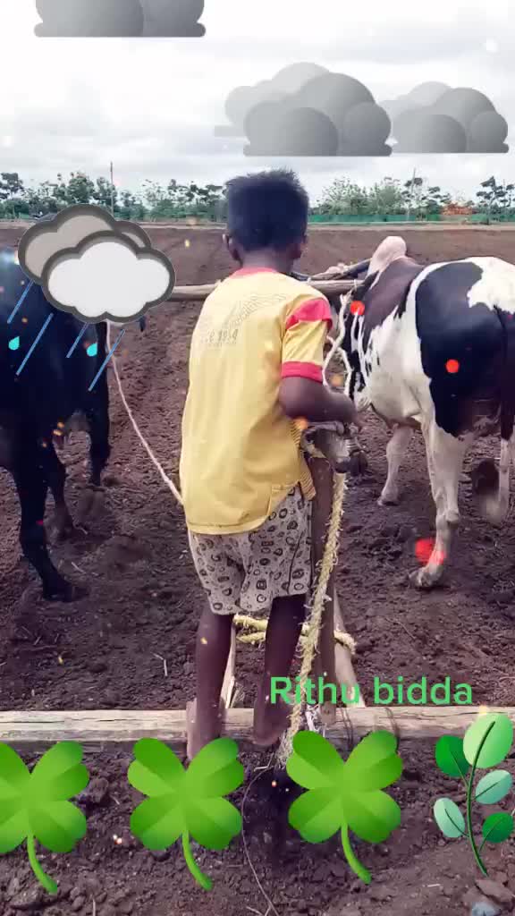 @రైతు బిడ్డ
