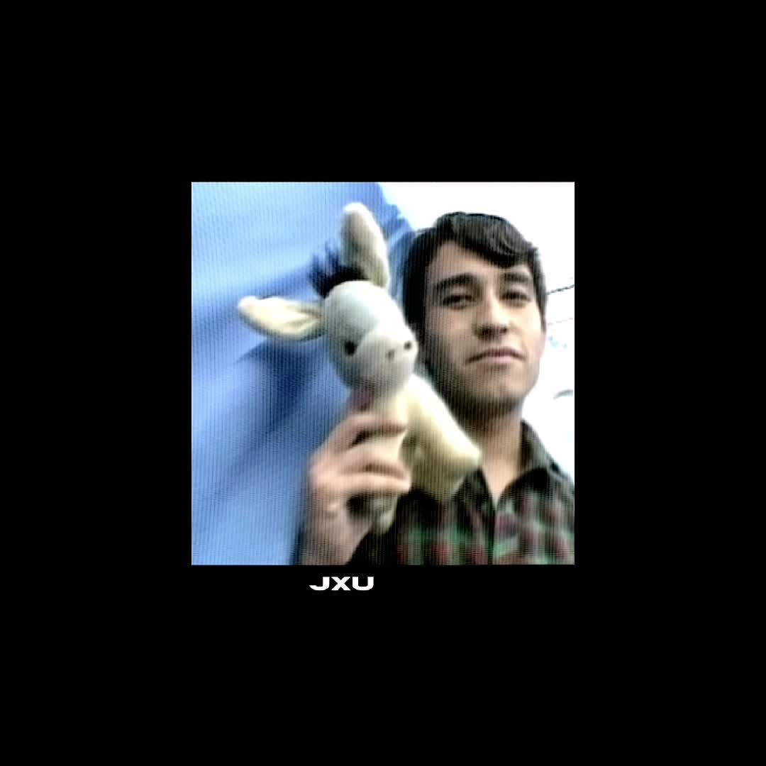 @🦢 ┆ pateando piedras