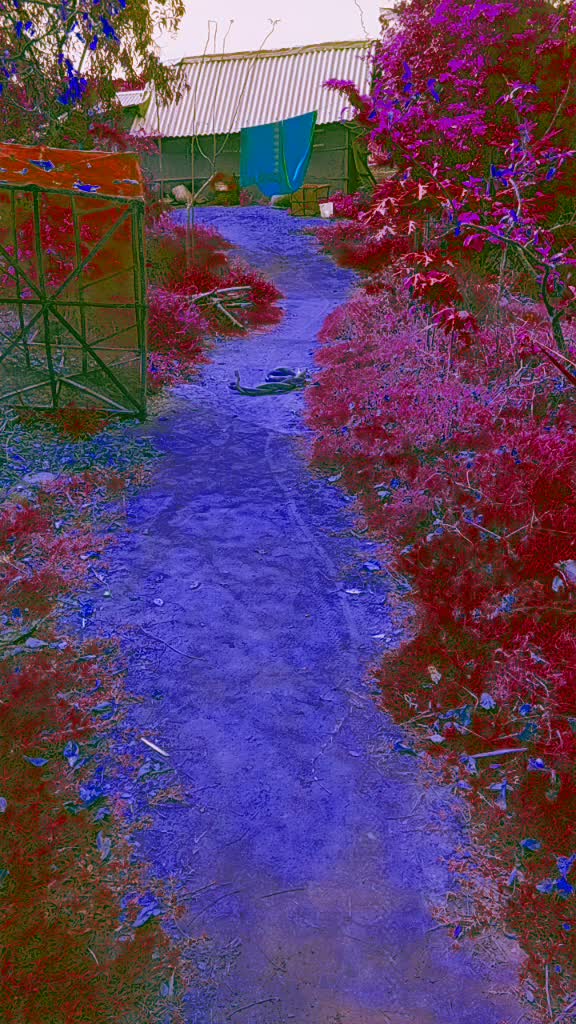 @user303943