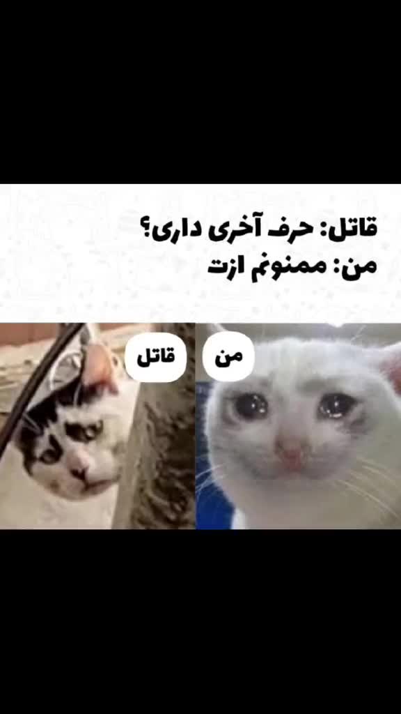 @beigi
