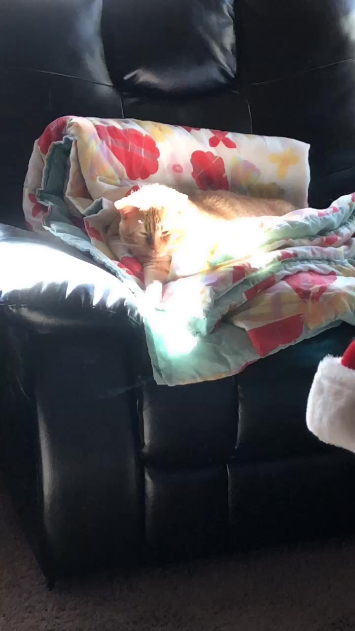 @🎃