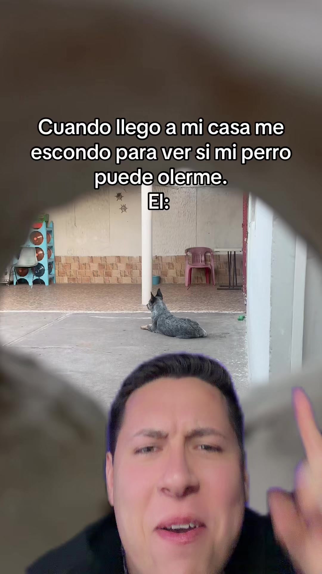 @Antonyviews⚡️