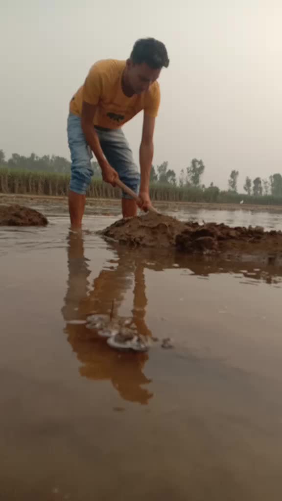@manish gujjar