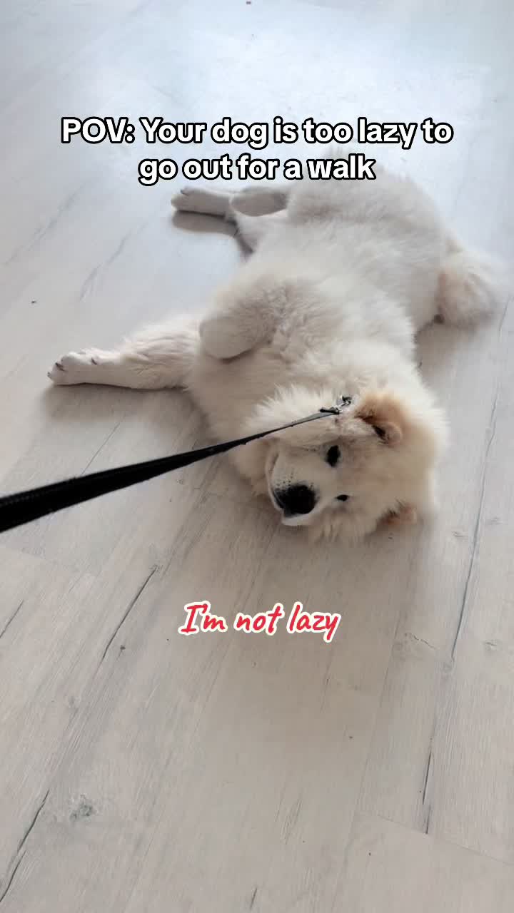 @Mochi