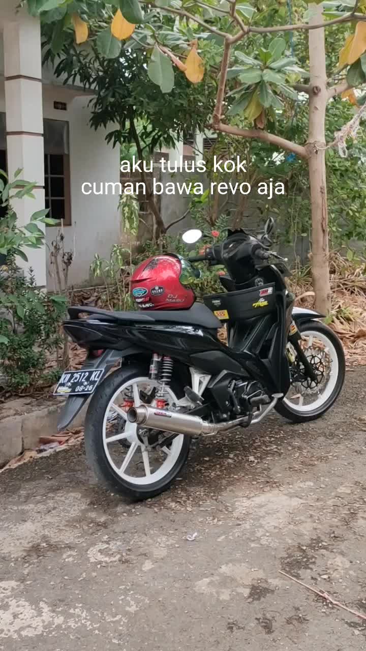 @harpian boy