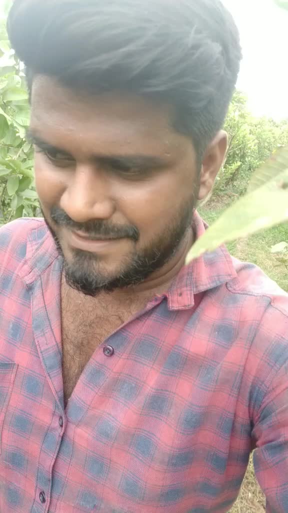 @கோ.ஜெ.பாலா