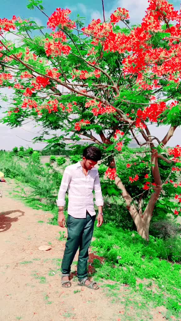 @Naveen kamadolli #💖