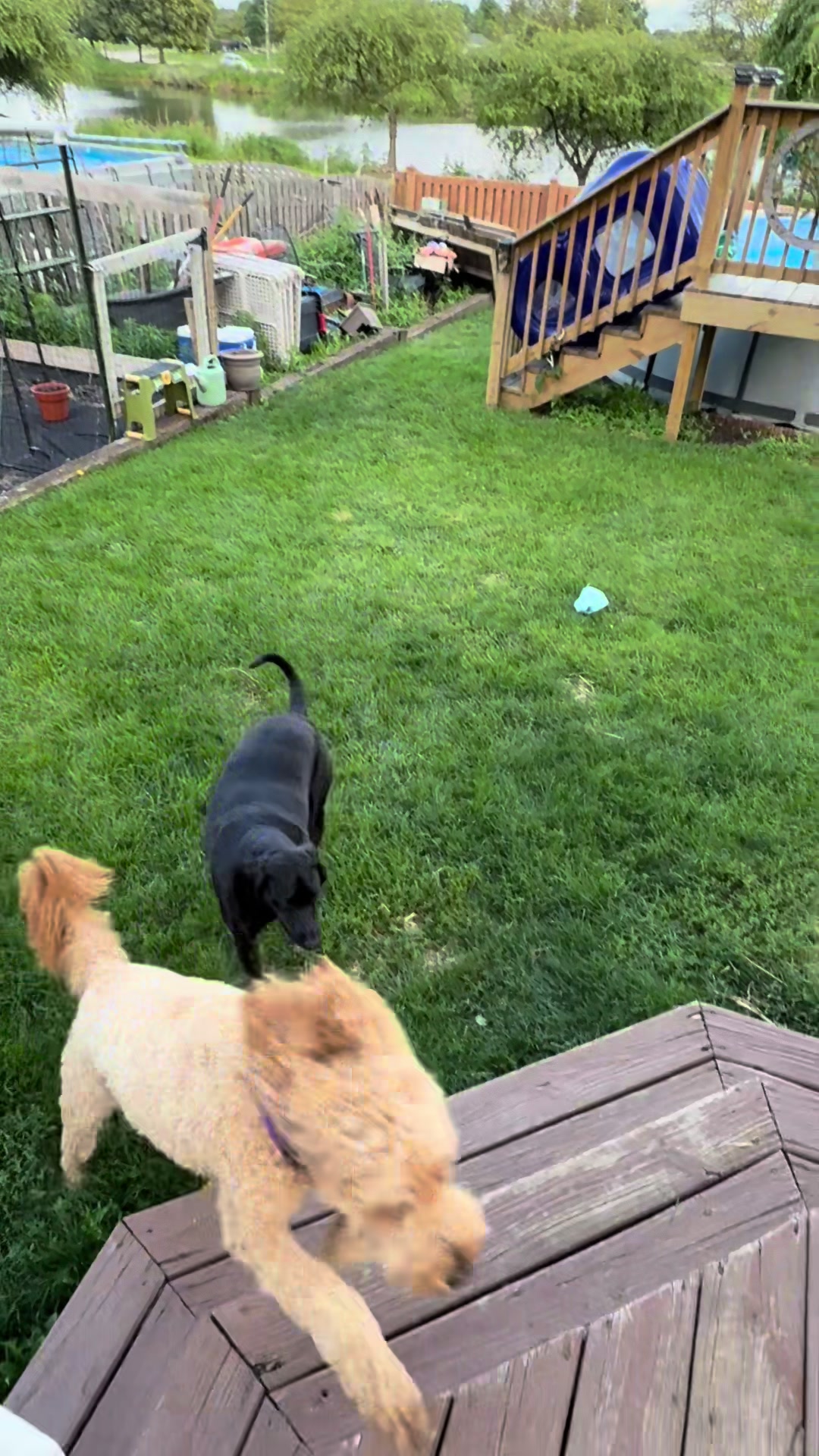 @Oh Betty
