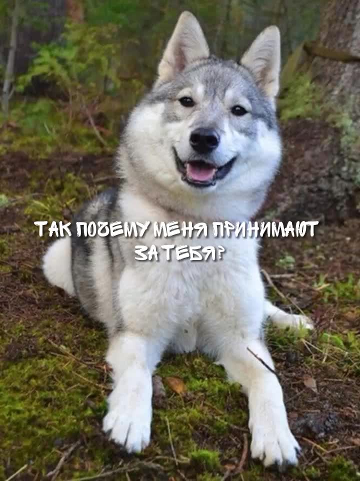 @просто Майа 💗