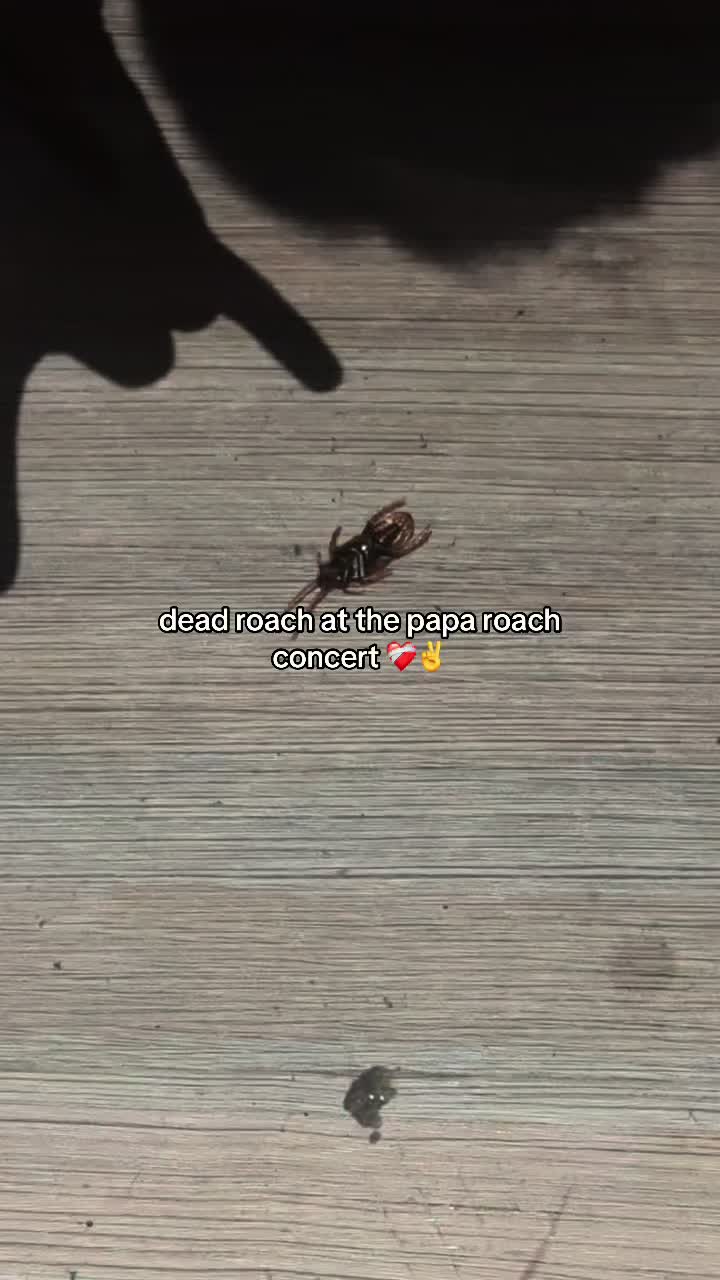 @𝓯𝓻𝓮𝓪𝓴𝔂 g&oslash;&oslash;se ❤️