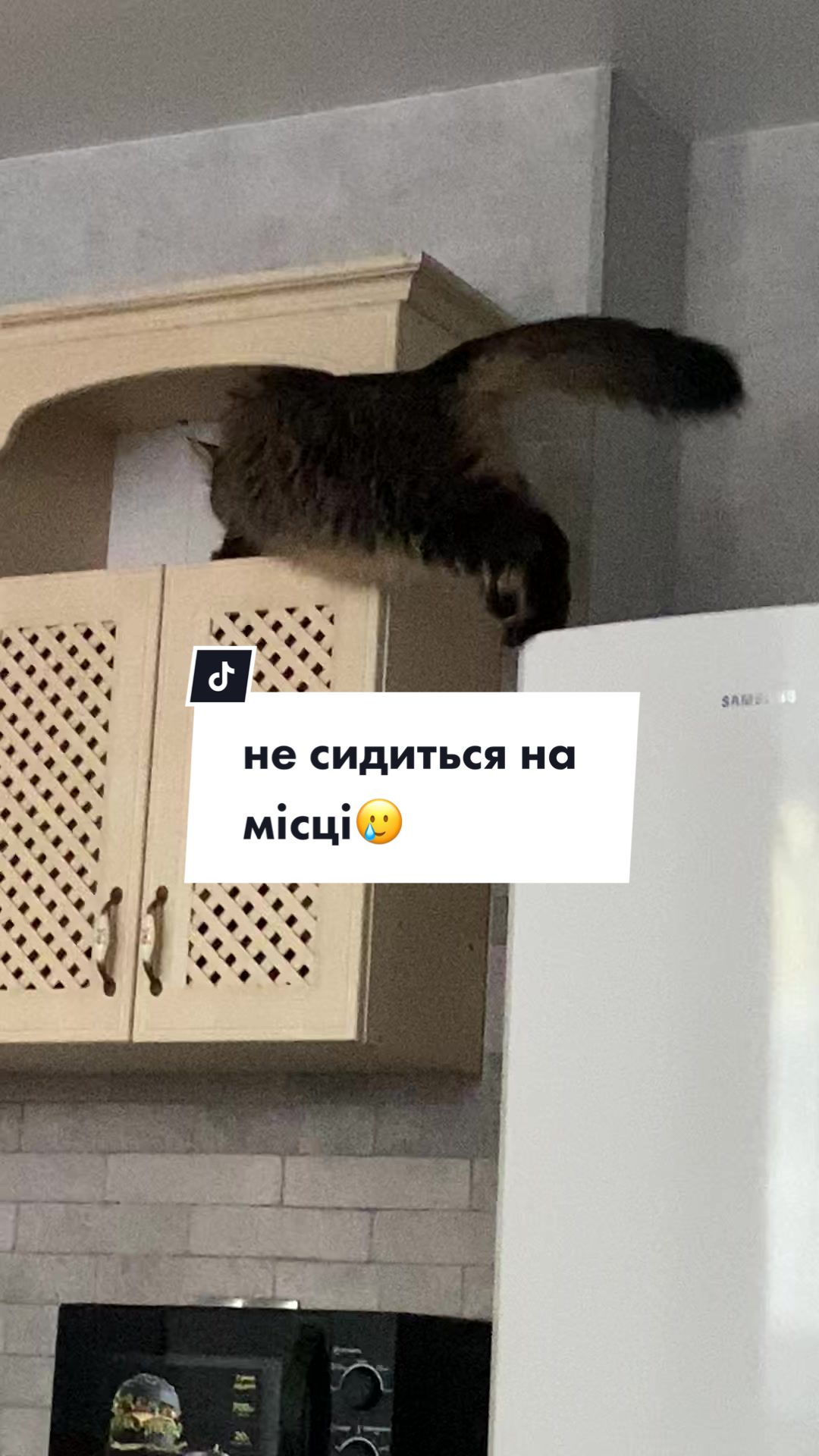 @Семенович