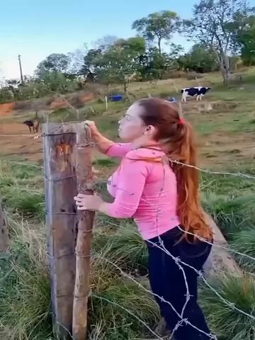 @Santiago Alberto Ramos