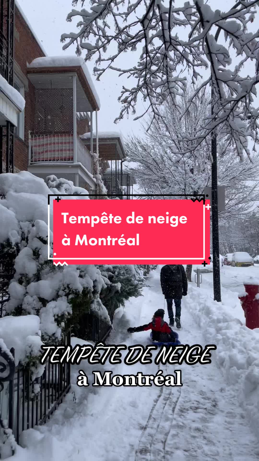 @Sophie Montminy - Auteure