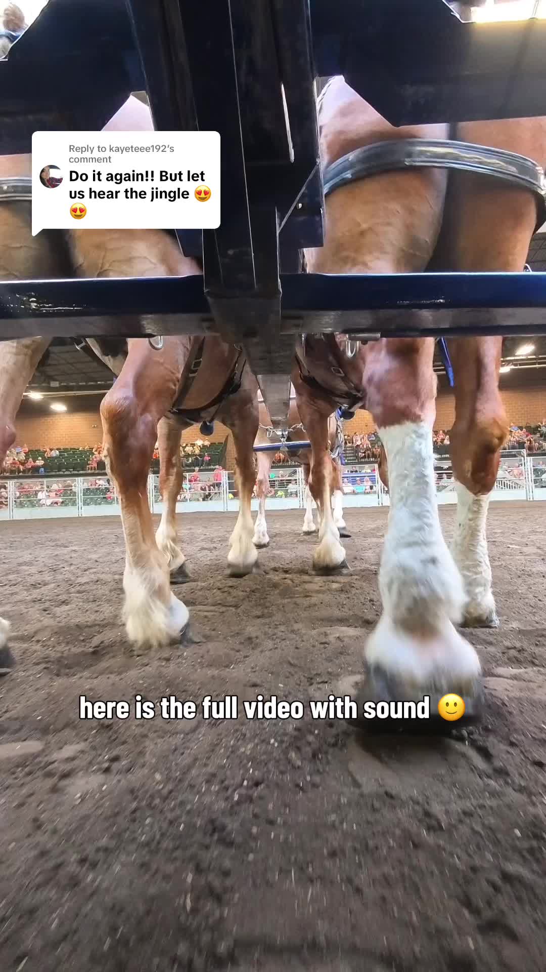 @Tisha 📸🦄 Equestrian&ensp;Photog