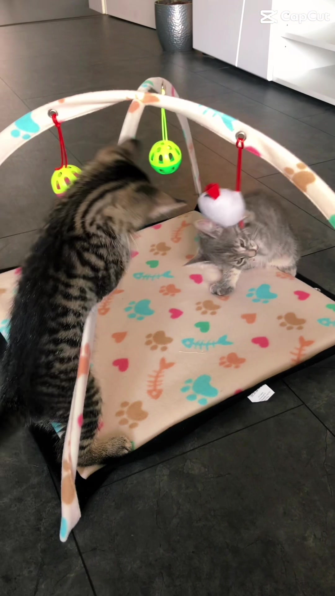 @Happykittycats_