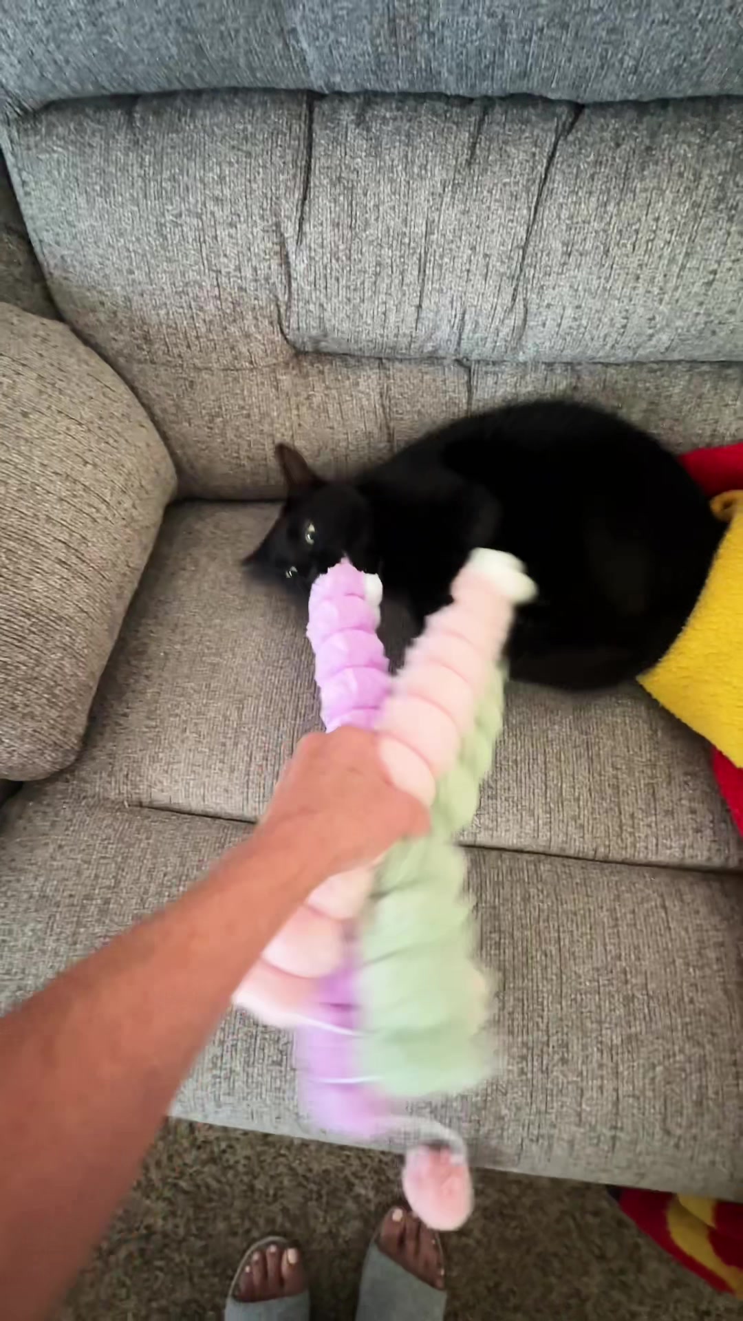 @Melanie Rene' Designs ❌