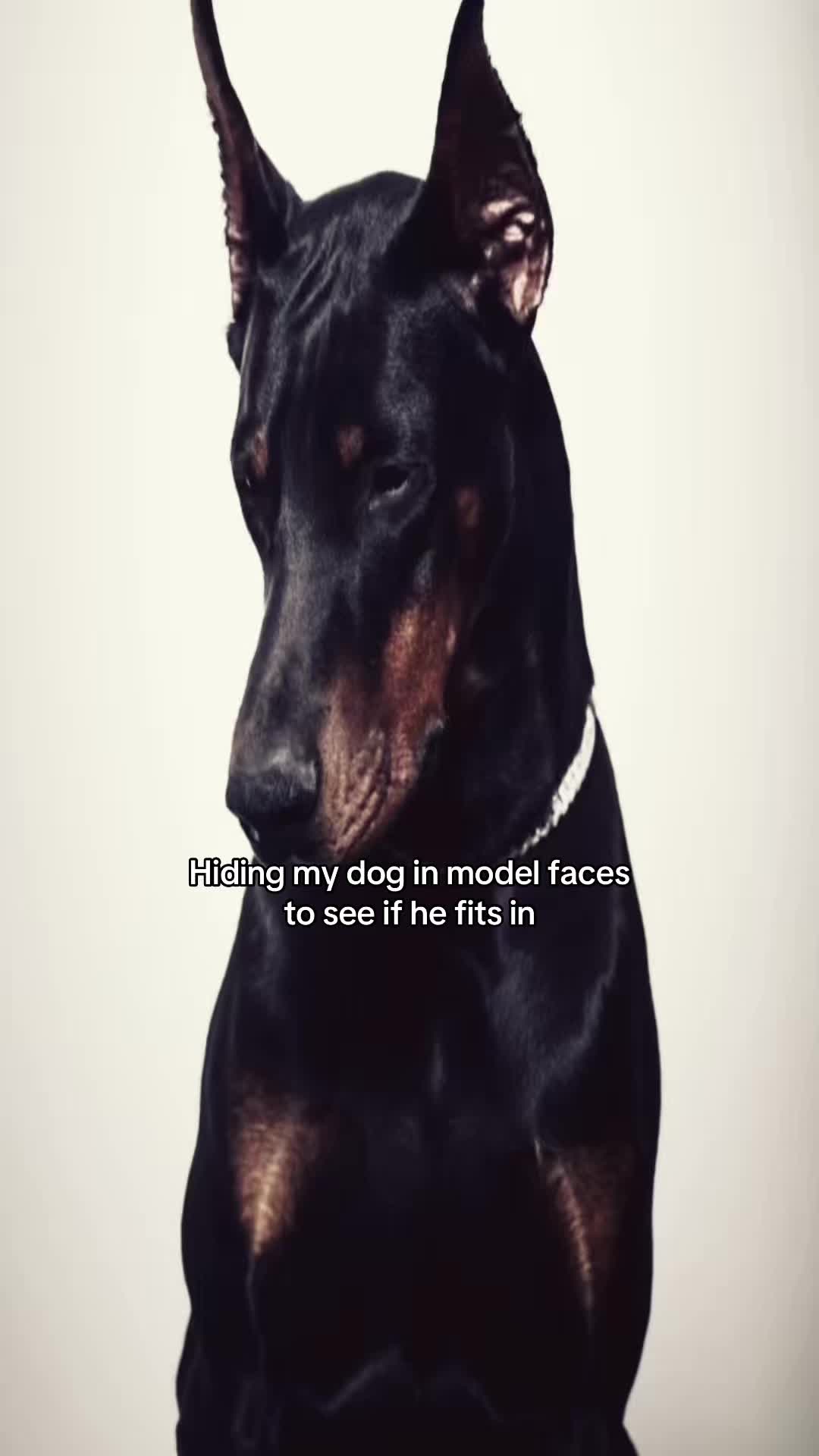 @𑣲𝓛