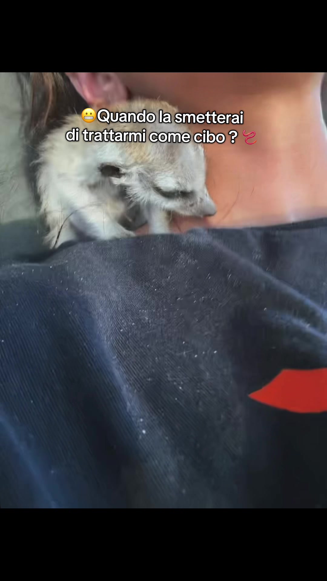 @BarnBeauty_M.S.